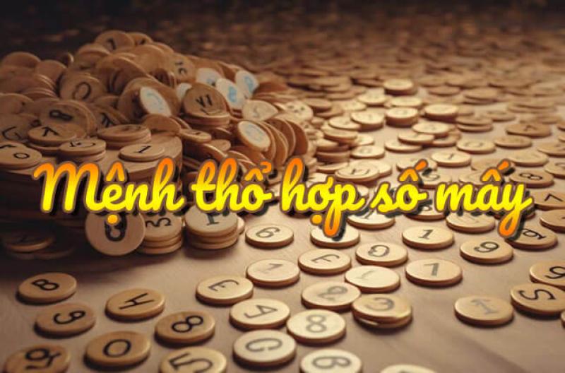 người mệnh thổ hợp số mấy