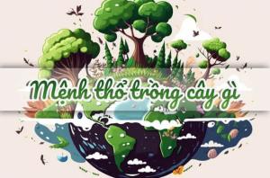 Chọn cây phong thủy cho người mệnh thổ