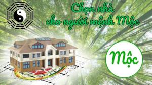 Mệnh Mộc hợp hướng nhà nào, trang trí nội thất sao cho hợp