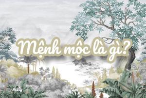 Mệnh Mộc là gì? Mệnh mộc hợp mệnh gì? Các loại mệnh mộc