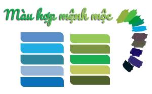 Người mệnh Mộc hợp màu gì