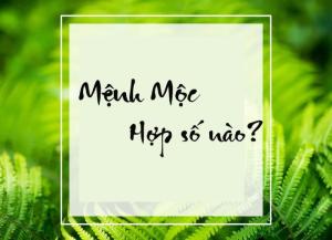 Thạch Lựu Mộc hợp số nào