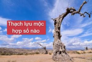 Thạch Lựu Mộc hợp số nào? Khắc hợp số nào?