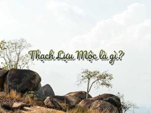 Thạch Lựu Mộc là gì? Sinh năm bao nhiêu?