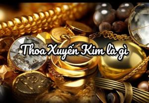 Thoa Xuyến Kim là gì? Hợp màu gì? Mệnh gì, số nào, khắc mệnh gì?