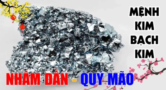Người thuộc Kim Bạch Kim sinh vào năm Nhâm Dần và Quý Mão