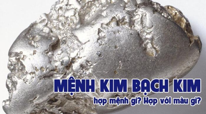 Chọn mệnh hợp sẽ người người Kim Bạch Kim có nhiều sự hỗ trợ về phong thủy