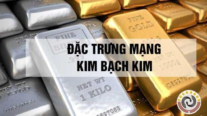 Mệnh Kim Bạch Kim không nên chọn màu của mệnh Hỏa