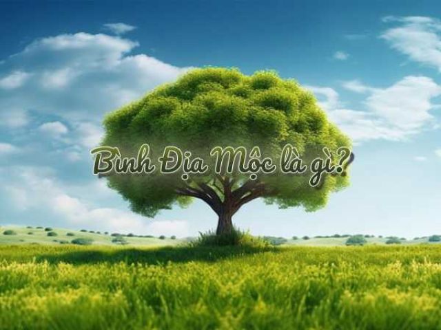 Bình Địa Mộc là gì