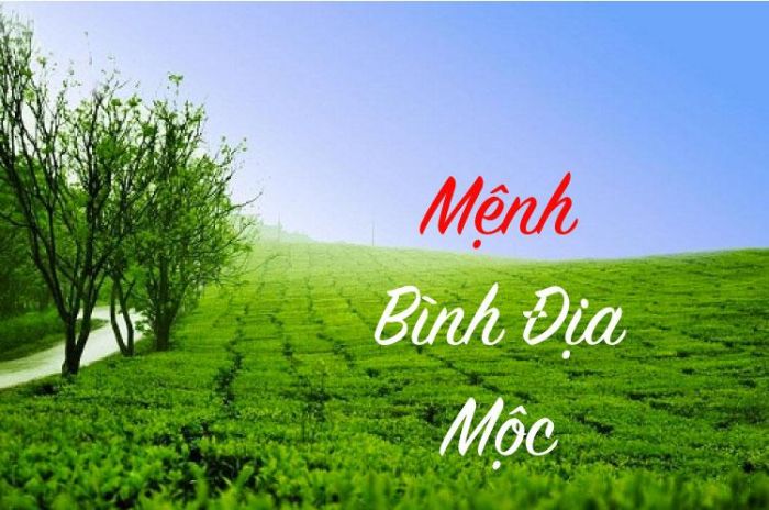 Người thuộc Bình Địa Mộc có sự mềm mỏng, ôn hòa về tính cách