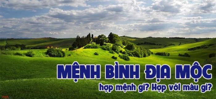 Chú ý chọn màu hợp mệnh để có sự hỗ trợ tốt nhất về phong thủy với Bình Địa Mộc