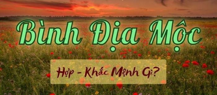 Nhiều mệnh hợp để người Bình Địa Mộc lựa chọn kết hợp giúp tăng thêm tài lộc, thịnh khí