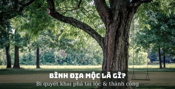 Có nhiều cách để tăng phong thủy mà người thuộc mệnh Bình Địa Mộc cần phải chú ý