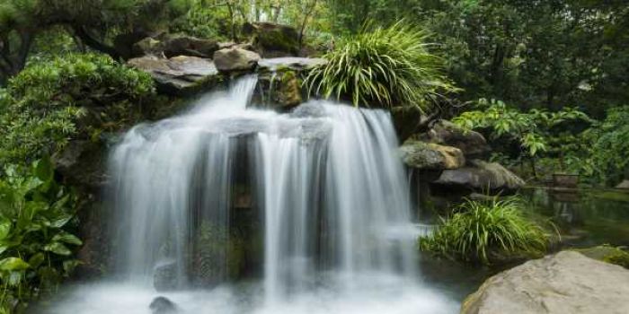 <span id='dai-khe-thuy-la-gi'></span>Đại Khê Thuỷ là gì?