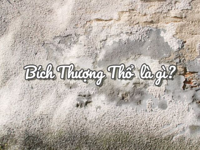 Bích Thượng Thổ là gì?