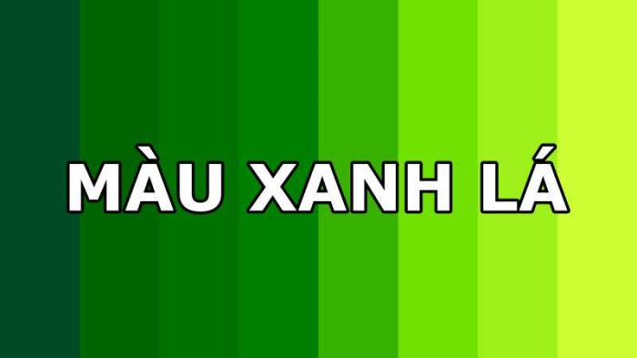 Màu tương khắc (Mộc, Thủy): Xanh lá cây, Xanh nước biển, Đen.