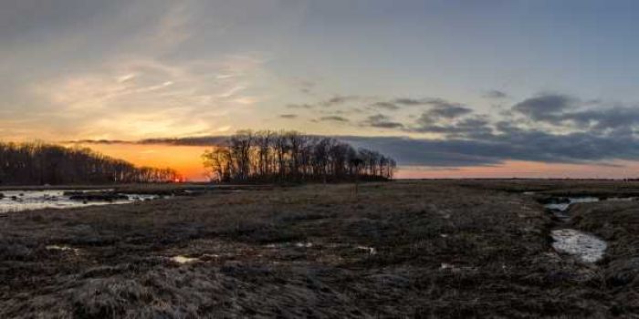 Người mệnh Đại Trạch Thổ sinh năm nào?