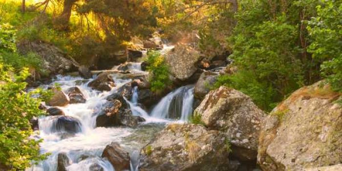 <span id='tuyen-trung-thuy-la-gi'></span>Tuyền Trung Thủy là gì?