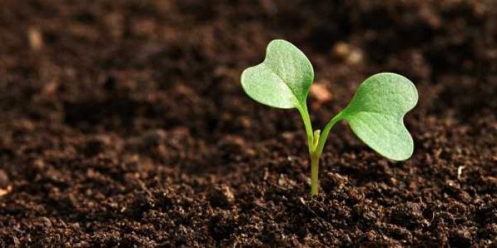 Người mệnh Tuyền Trung Thủy hợp những người mệnh Thổ