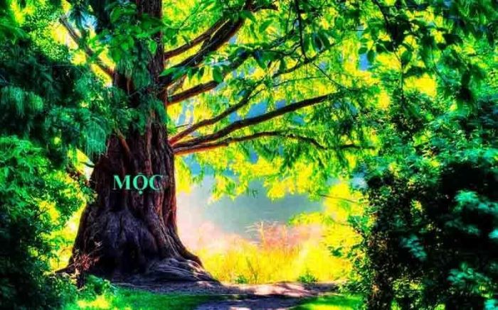 Nạp âm Mộc này có sự kiên cường và rất mạnh mẽ trước mọi khó khăn của cuộc sống