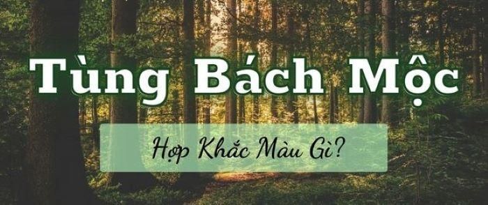 Các màu của mệnh Thủy, Mộc hay Thổ đều thích hợp cho Tùng Bách Mộc lựa chọn