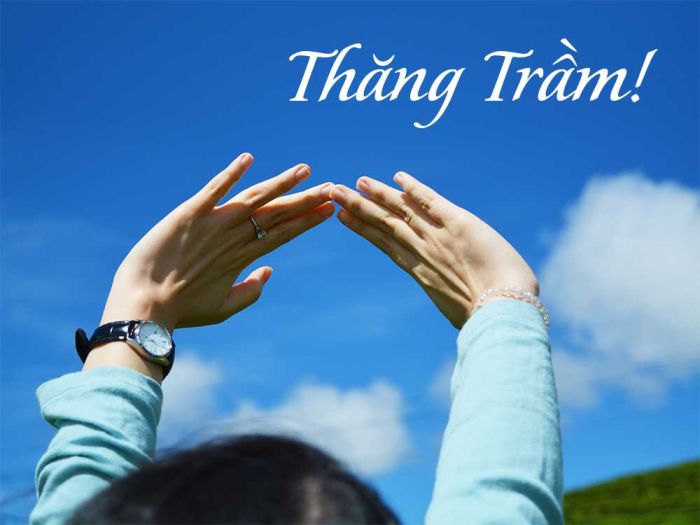 Người mệnh Lộ Bàng Thổ gặp nhiều thăng trầm trong chuyện tình cảm