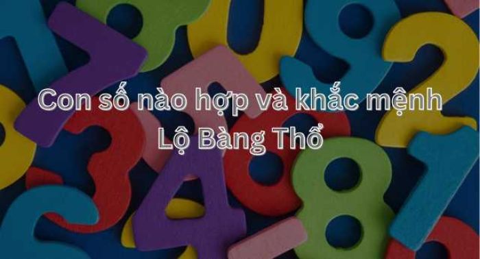 Mệnh Lộ Bàng Thổ hợp với nhiều con số và chỉ khắc 2 số 3 và 4