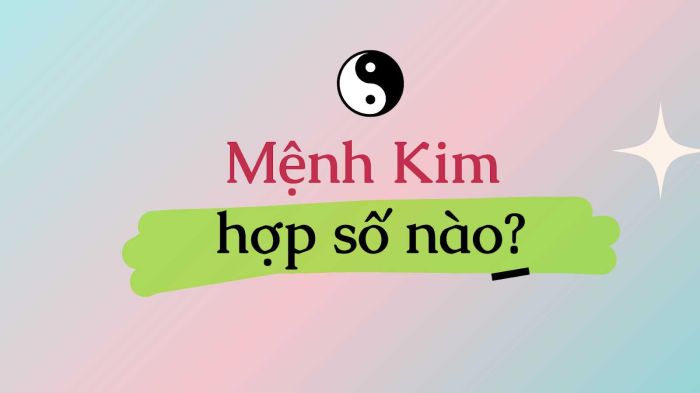 Người thuộc nạp âm Bạch Lạp Kim nên chọn các số thuộc mệnh Kim và mệnh Thổ