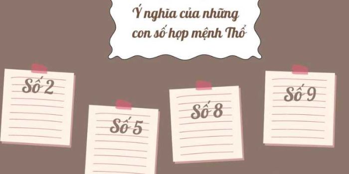 Tổng hợp những con số phù hợp với người mệnh thổ