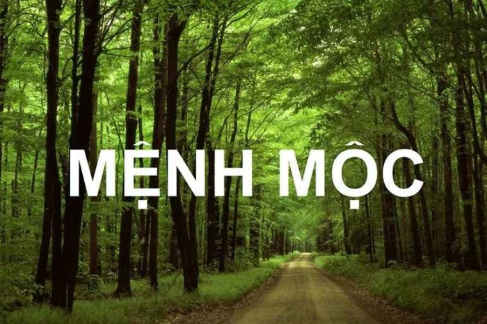 Giản hạ thủy tương sinh với người mệnh Mộc