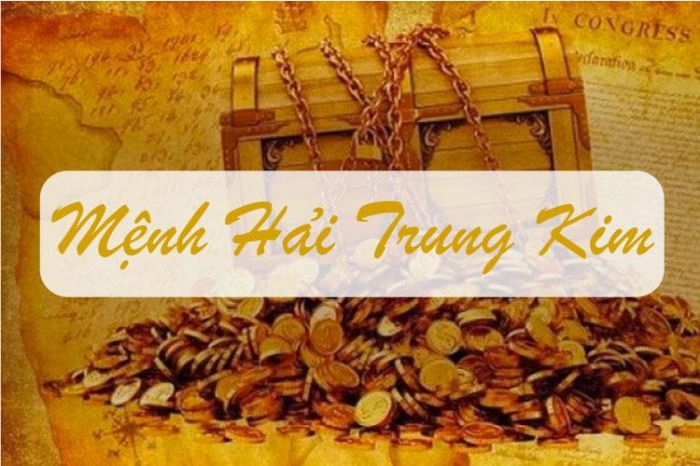 Các năm sinh của Hải Trung Kim là Giáp Tý, Ất Sửu