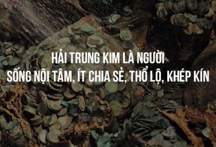Người thuộc Hải Trung Kim rất ít chia sẻ, có tính cách hướng nội