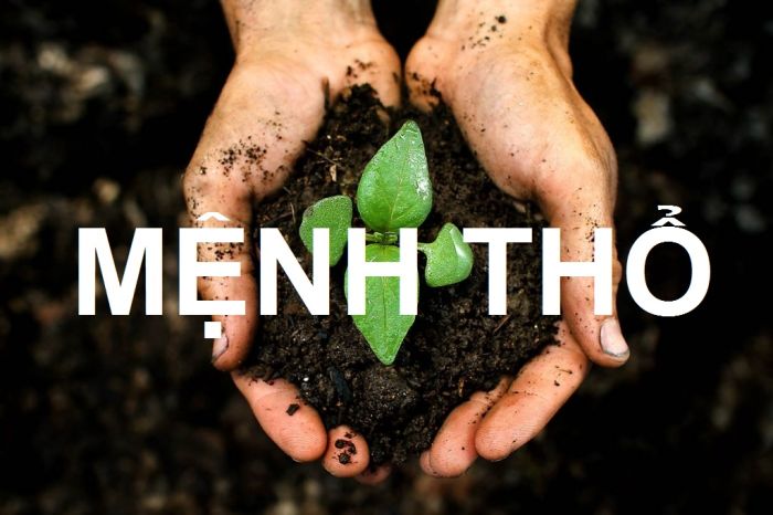 Chọn nghề nghiệp phù hợp cho người mệnh Thổ để gặp nhiều may mắn