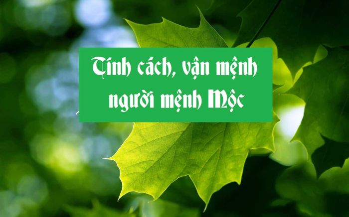 Đặc điểm tính cách nổi bật của người thuộc nạp âm Dương Liễu Mộc