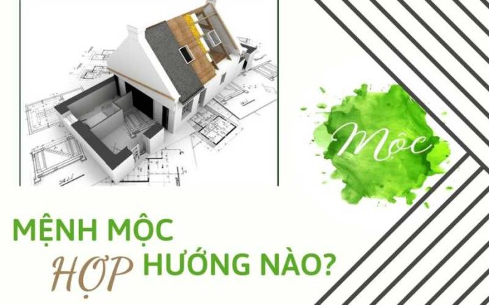 Chính Bắc và chính Đông là 2 hướng Dương Liễu Mộc nên chọn