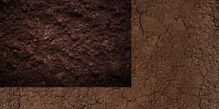 Lư Trung Hoả hợp mệnh Thổ