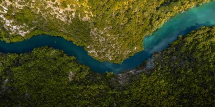 <span id='truong-luu-thuy-la-gi'></span>Trường Lưu Thuỷ là gì?