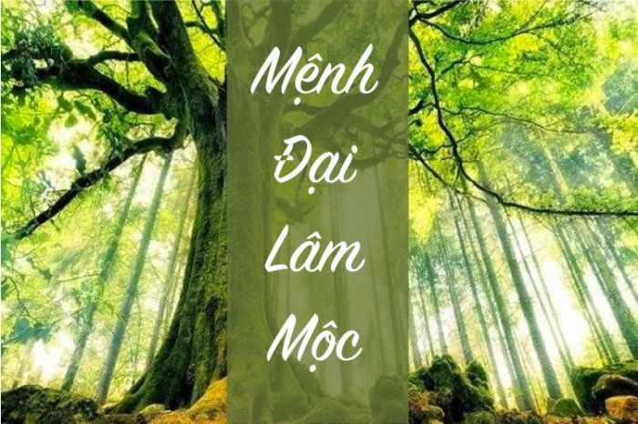 Không chọn màu của mệnh Kim cho nạp âm Mộc này