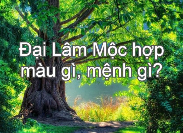 Chú ý mệnh hợp với Đại Lâm Mộc để mang đến sự tốt đẹp trong mọi việc
