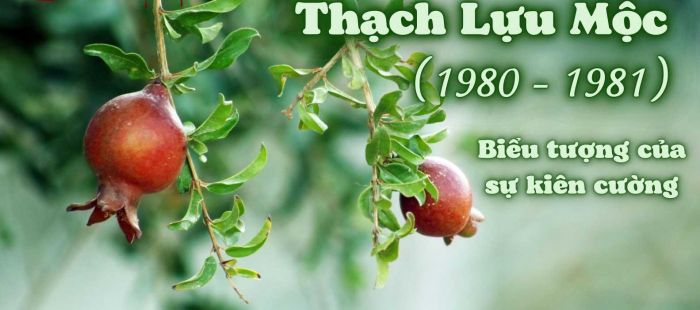 Mệnh Thạch Lựu Mộc sinh vào năm 1980 và 1981