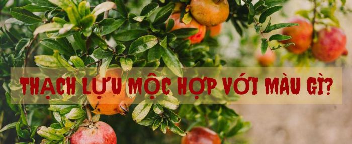 Chọn được màu hợp mệnh giúp người Thạch Lựu Mộc có thêm vận khí tốt hơn