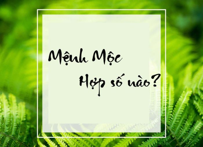 Chọn số hợp mệnh giúp Thạch Lựu Mộc có thêm sự hỗ trợ tốt nhất để tăng vận khí, giảm điềm xấu
