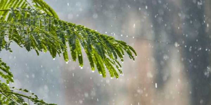 hiên Hà Thủy là gì?