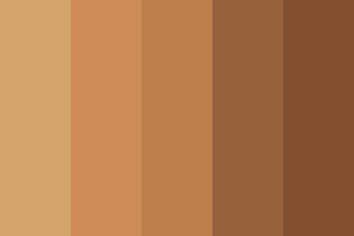 Màu nâu - màu sắc may mắn nhất cho người mệnh Thổ năm 2023