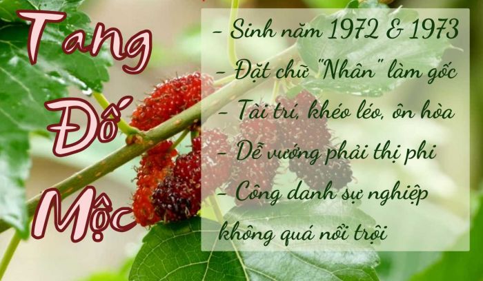 Người thuộc nạp âm Tang Đố Mộc sinh năm Nhâm Tý vận khí tốt hơn năm Quý Sửu