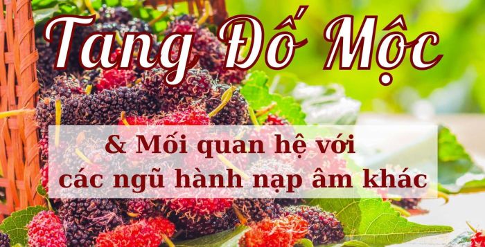 Có nhiều mệnh hợp để Tang Đố Mộc kết hợp và mang đến sự hỗ trợ phong thủy tốt nhất